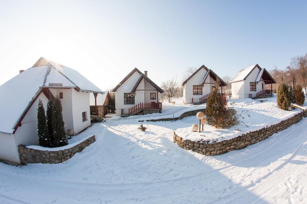 Holiday Home Jazacka Bajka فردنيك المظهر الخارجي الصورة