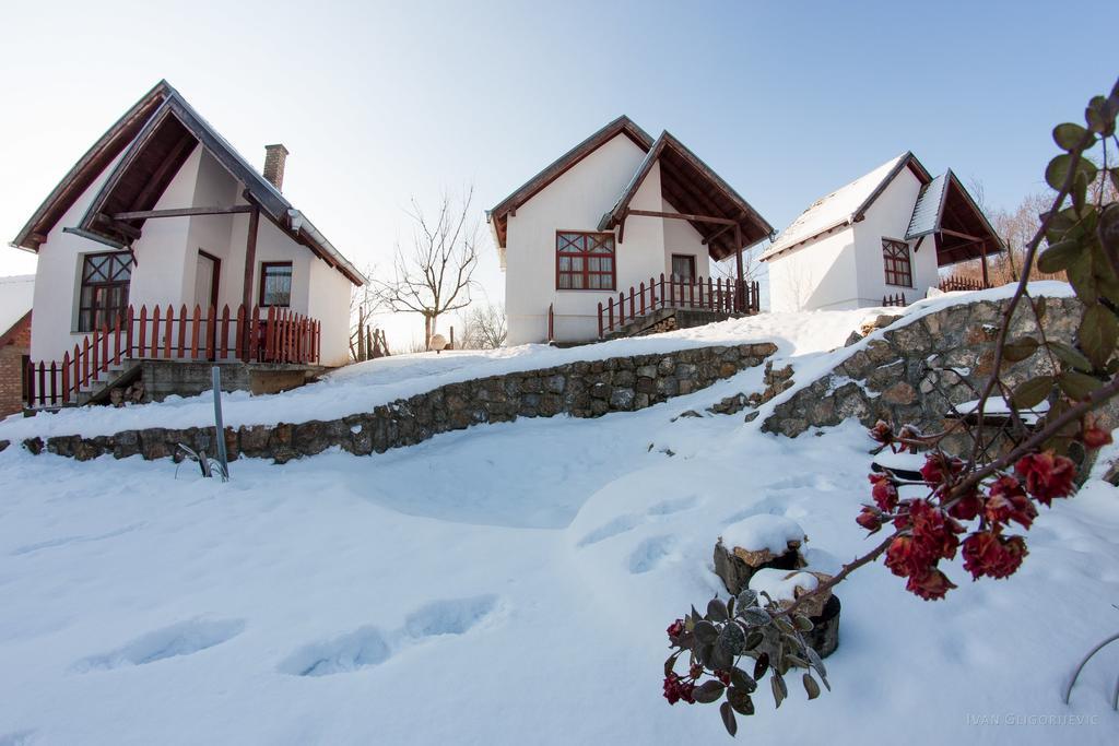 Holiday Home Jazacka Bajka فردنيك المظهر الخارجي الصورة